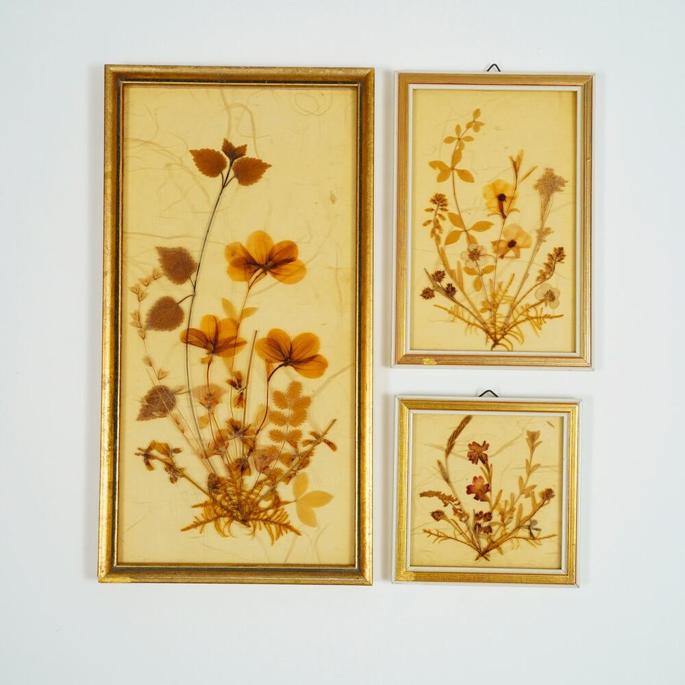 Vintage DINA Pressed Dried Flower Art Set of 3 Gold Frames West Germany Boho